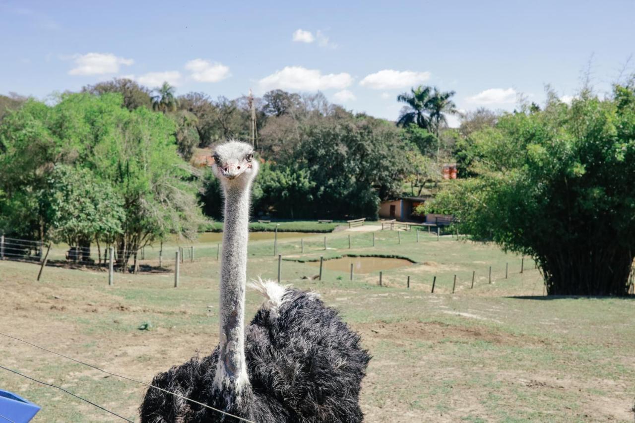 Hotel Fazenda Ararita Pôrto Feliz Esterno foto
