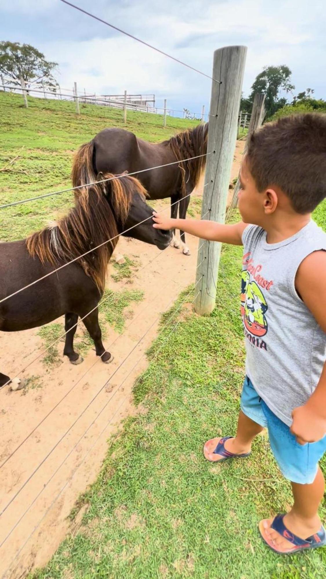 Hotel Fazenda Ararita Pôrto Feliz Esterno foto